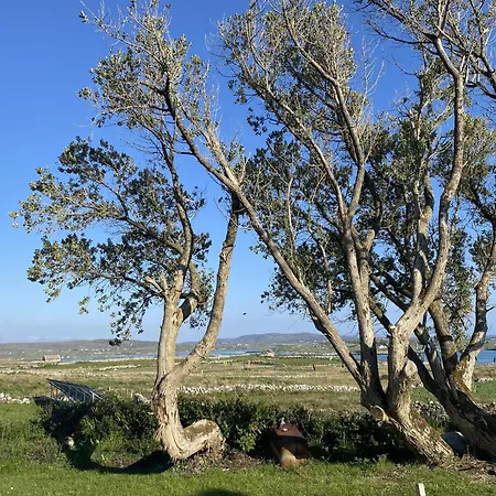Nead Na Bhfainleog Swallows Nest Vakantiehuis