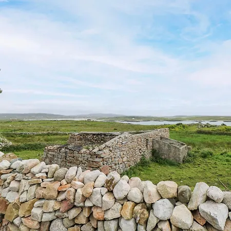 Nead Na Bhfainleog Swallows Nest *