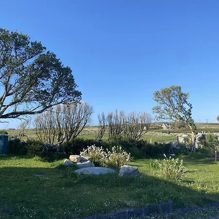 Nead Na Bhfainleog Swallows Nest